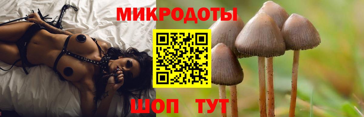Псилоцибиновые грибы Psilocybe  Вход с VPN  Камышин  Галлюциногенные грибы Magic Shrooms 
